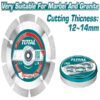Total  Dry diamond disc TAC2111153M
