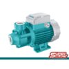Peripheral Pump 0.5Hp TWP137016